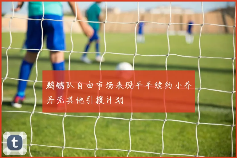 鹈鹕队自由市场表现平平续约小乔丹无其他引援计划